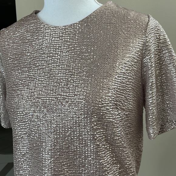 Sparkly Metallic Short Sleeve Blouse, Size S - Picture 1 of 5